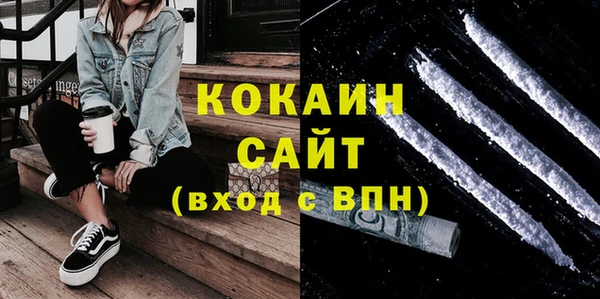сатива Болхов