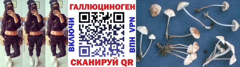 Галлюциногенные грибы ЛСД  где купить наркоту  Моршанск 