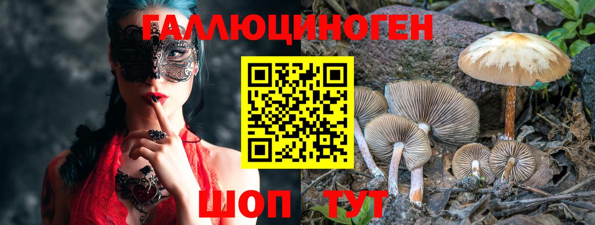 Моршанск  Галлюциногенные грибы Psilocybine cubensis  Вход с VPN 